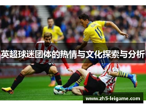 英超球迷团体的热情与文化探索与分析